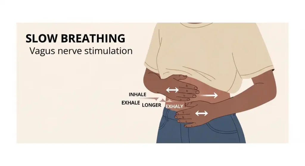 Science of Mindfulness